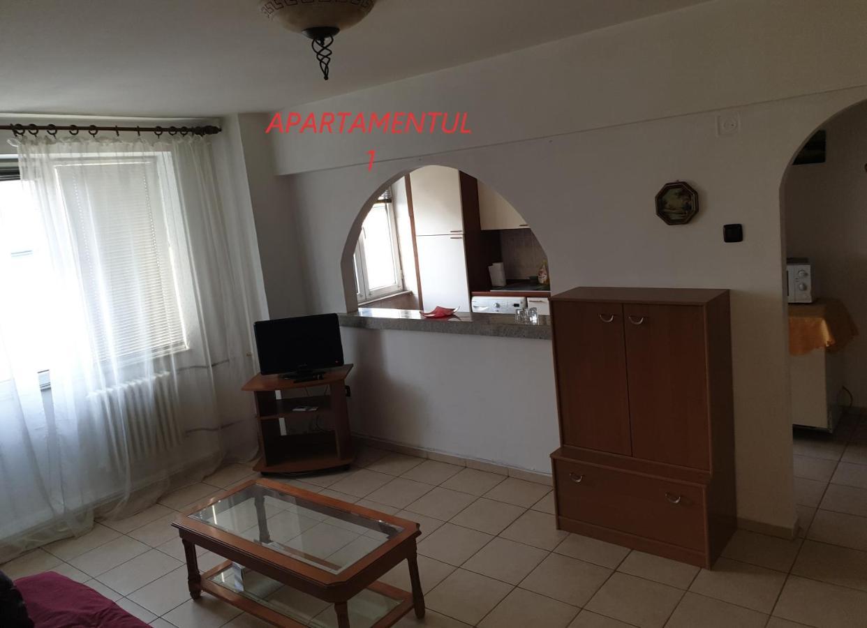 Apartament Cu 2 Camere,Ultracentral In Arad Eksteriør billede