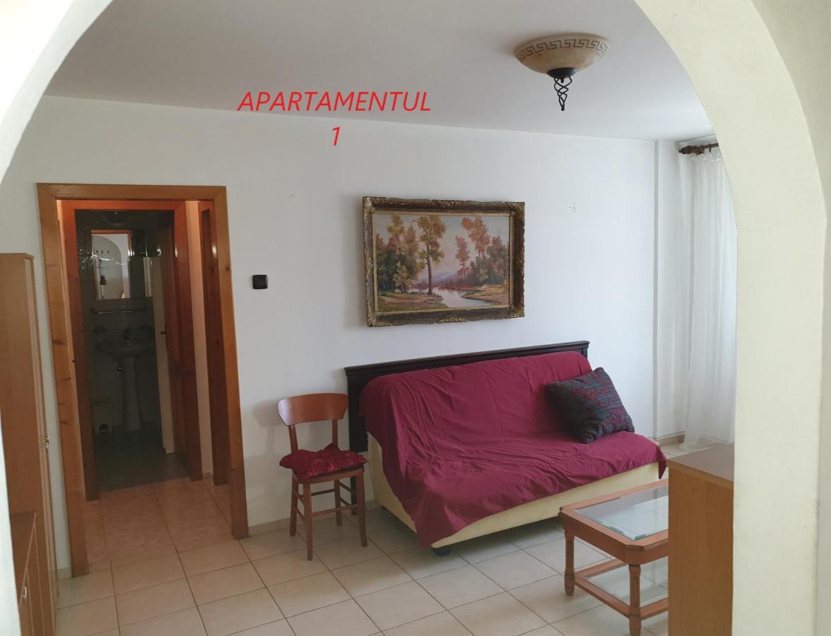 Apartament Cu 2 Camere,Ultracentral In Arad Eksteriør billede