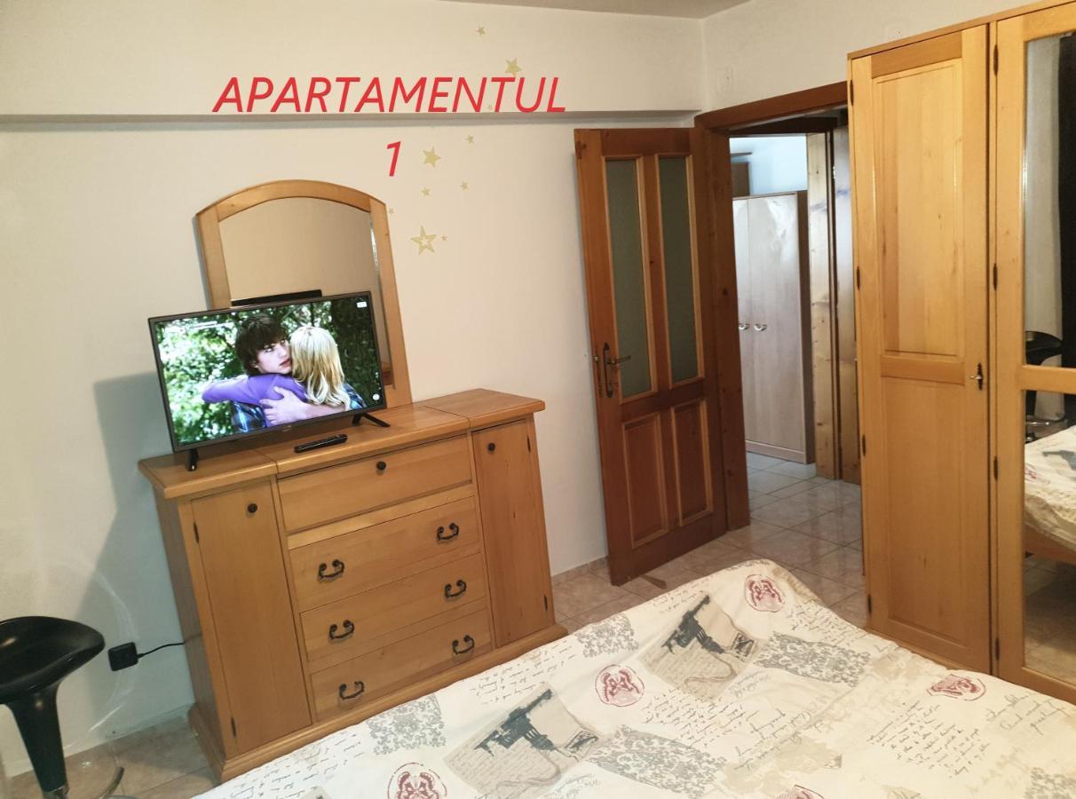 Apartament Cu 2 Camere,Ultracentral In Arad Eksteriør billede